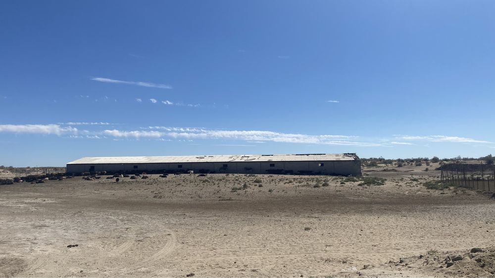 Фазенда сатылады СРОЧНО!!!