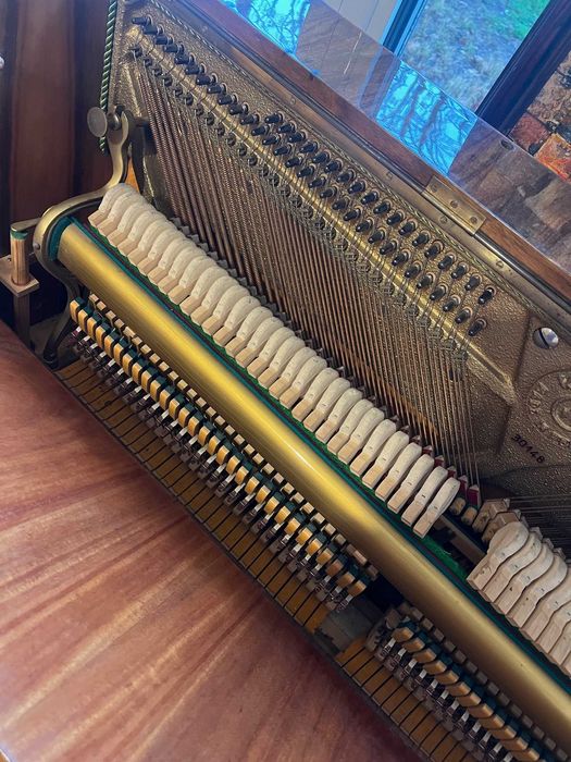 Акустично пиано CALISIA