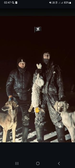 Продам тазы кумай