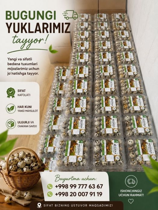 Bedana Tuxum juda sifatli va qulay narxda 300 so’m