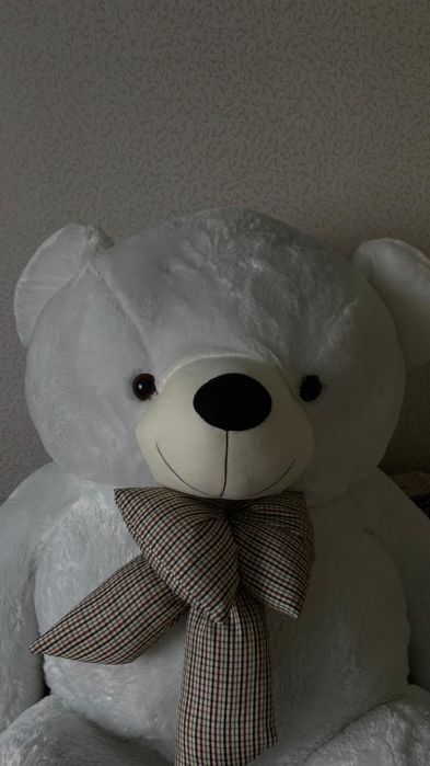 Мишка Нестор