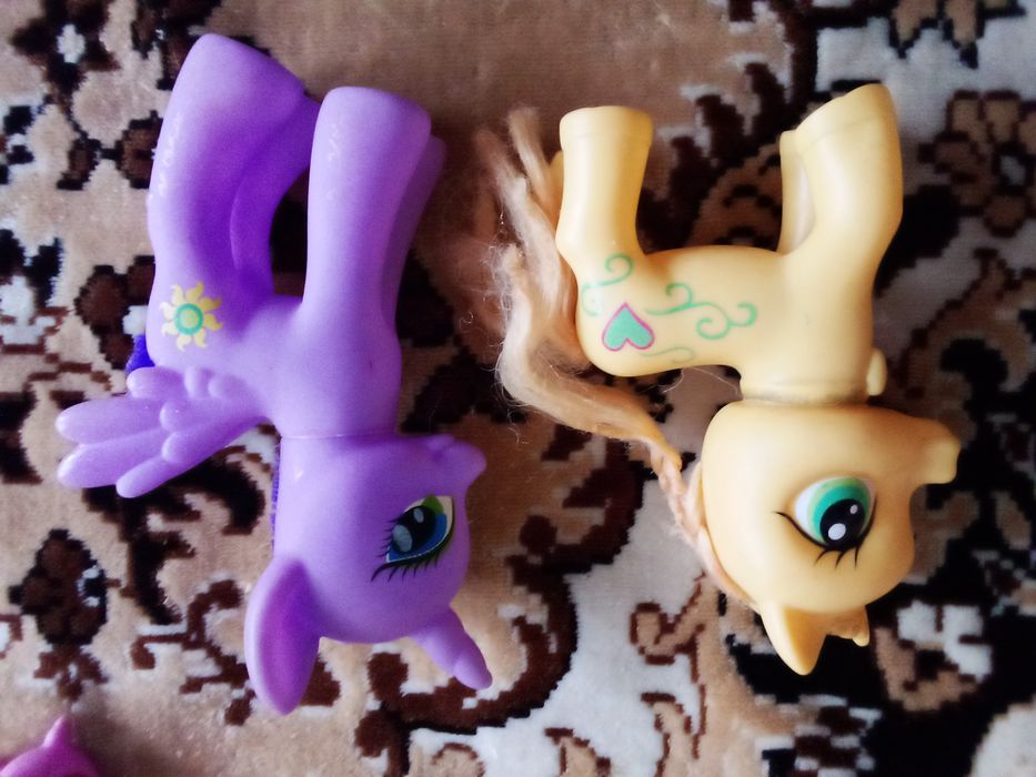 Продам   маленьких и средних пони