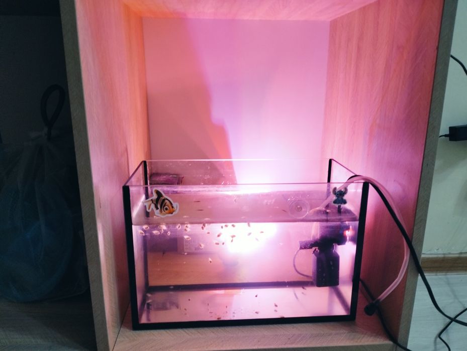 Аквариум с рыбками