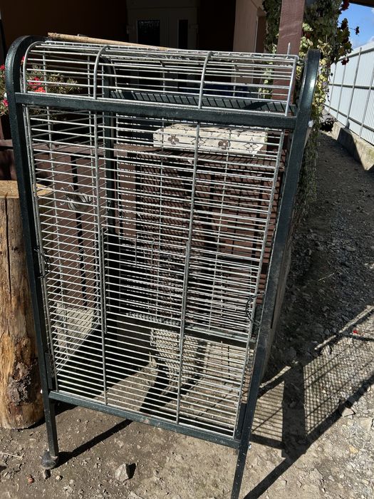 Voliera, colivie papagali, pasari