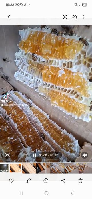 Продам пчёл рамка расплода 15 тышь