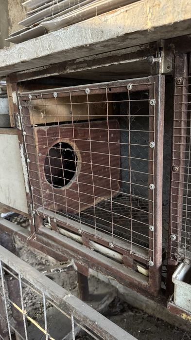 Продам метал клетки для кроликов