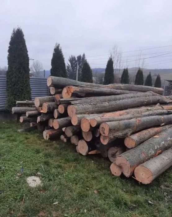 Lemne de foc Fag Stejar Carpen Salcam