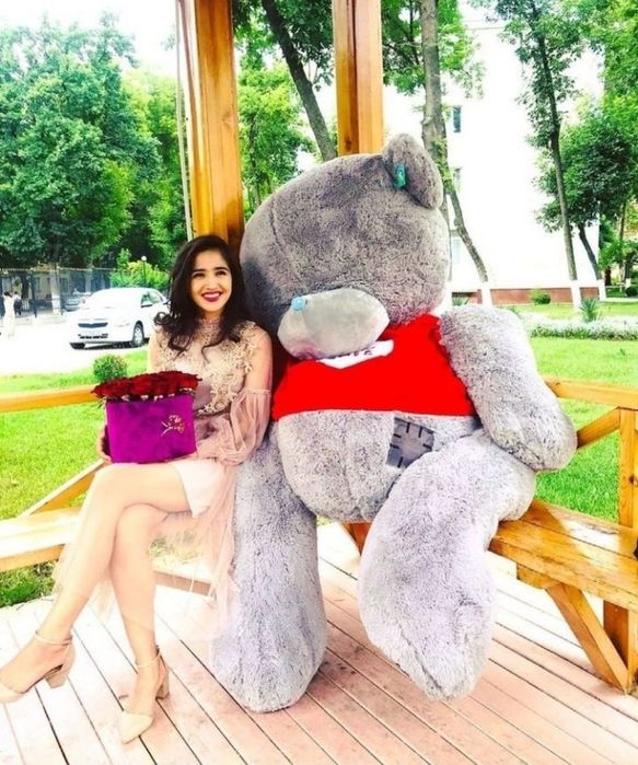 Teddi teddy ayiq miyahki original