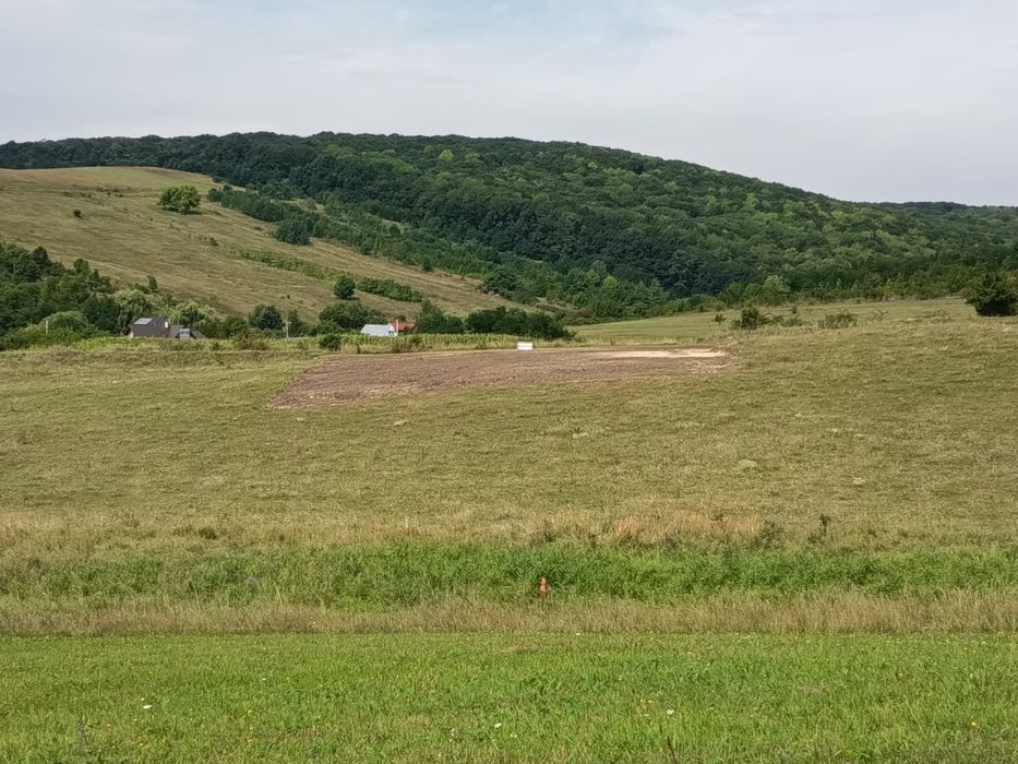 Teren construibil intravilan 5.000 mp parcelat în 2400mp + 2000mp cu drum- Piatra Neamț