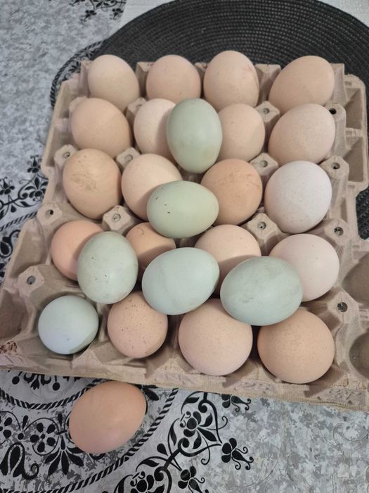Oua de casa pentru consum