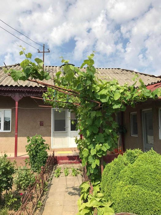 Casă cu anexă și teren în Nifon 2500 m2