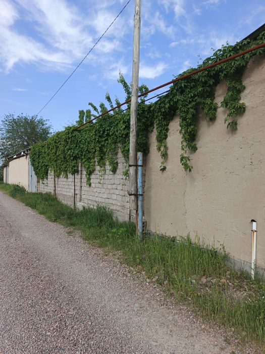 Toytepa dacha 6 sotix srochna