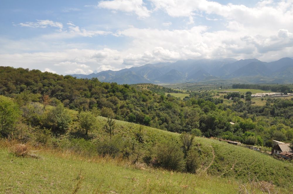 Продам или сдам КХ