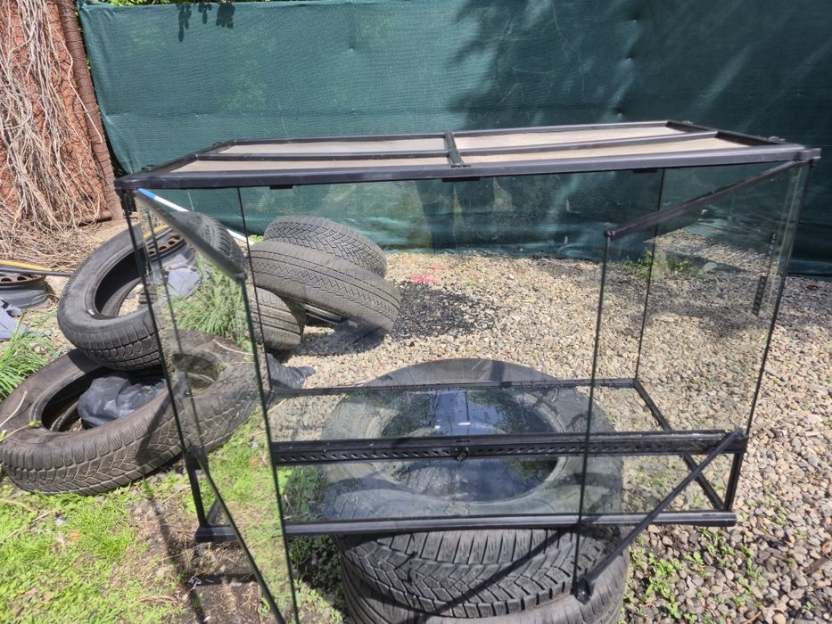 Terariu  animale companie, șerpi iguana tarantule
