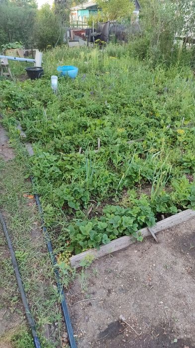 Продаю дачу в ДО "Алма" Темиртау
