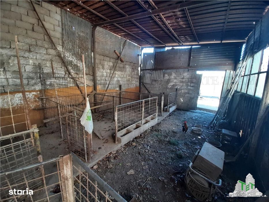 Teren 4000 mp + casa demolabila in BragadiruVarteju (Magurele)