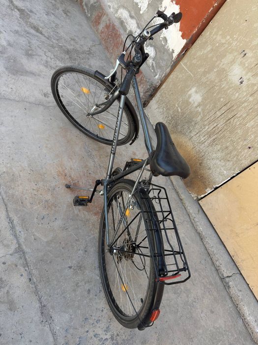 Velosiped velik valasaped valasapid
