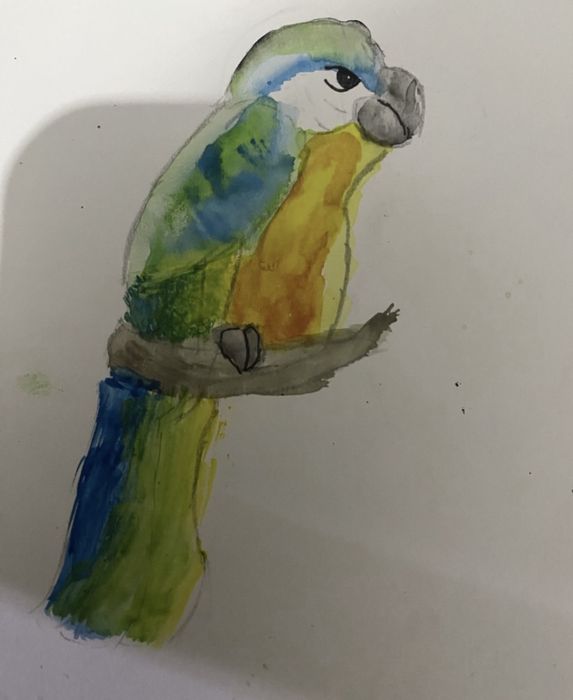 Рисую ващих питомцев!!