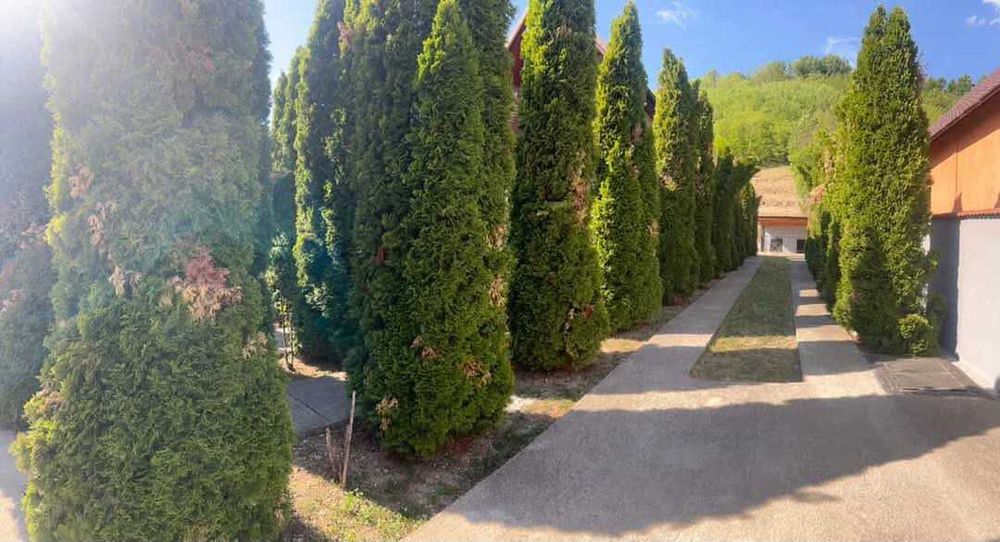De vânzare – Două case moderne pe același teren în Târna Mare