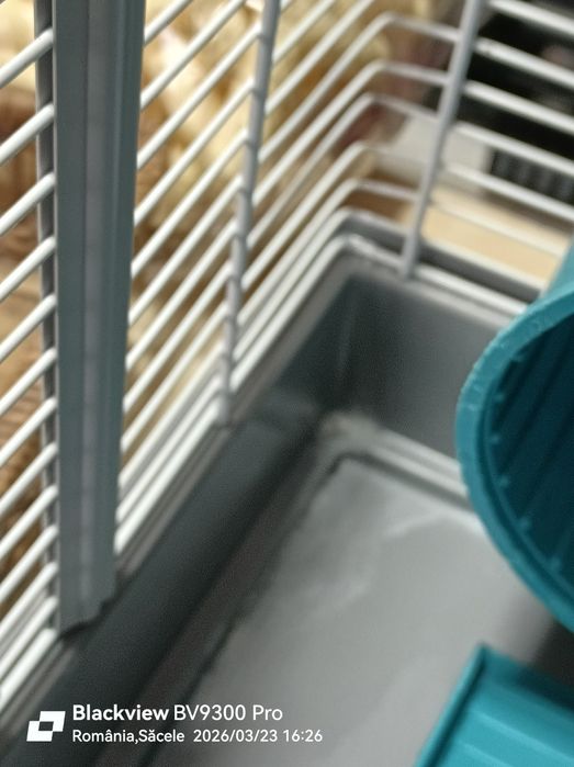 Vând cușcă hamster