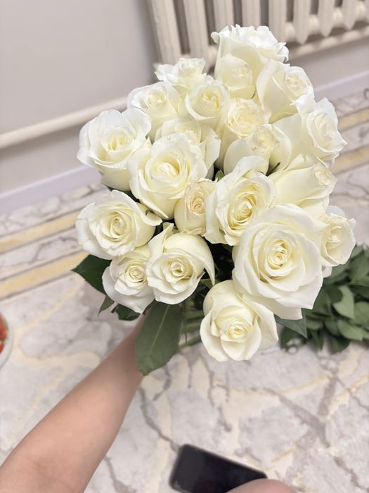 21 штук ак роза гул сатылады