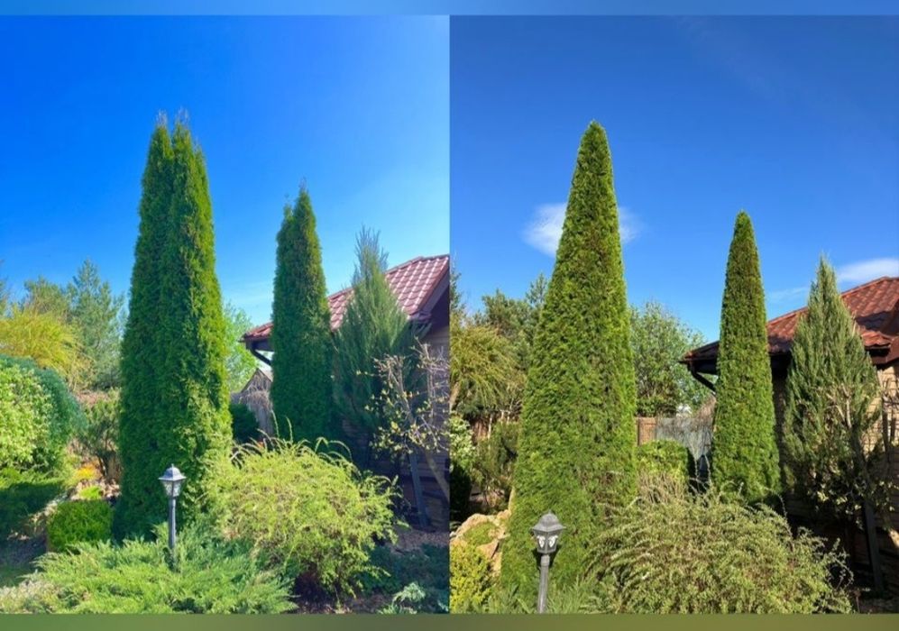 Садовник, Вогбон по городу Ташкенте работаю