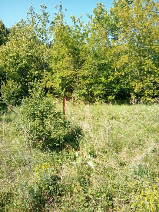 Земельный участок