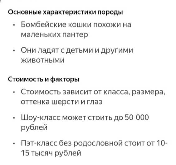 Уникальные котята