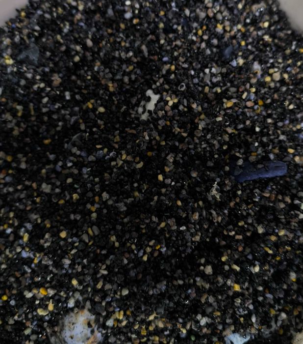 Аквариум с рыбами