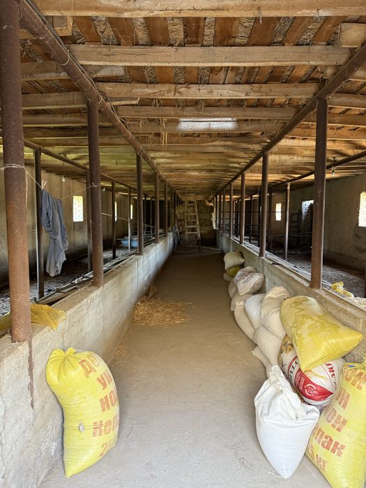 Участок (ферма), сад свой