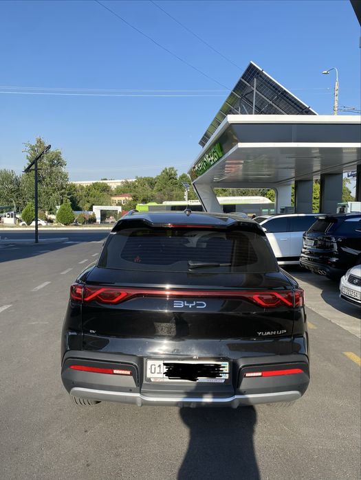 Byd Yuan up 2025