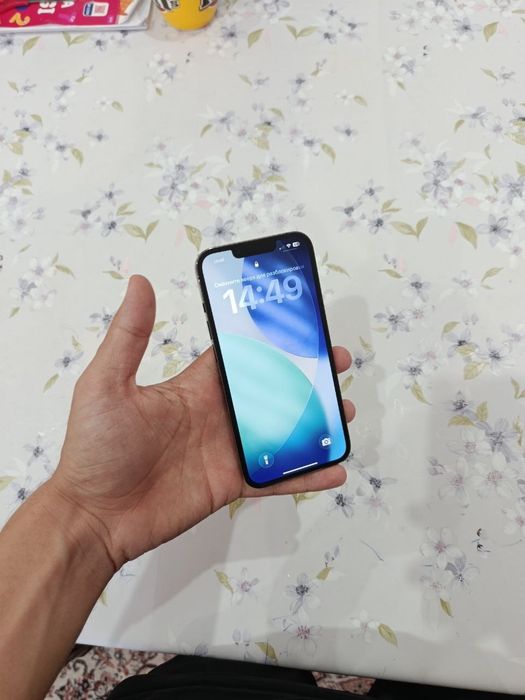 iPhone 13 pro ideal tnnu