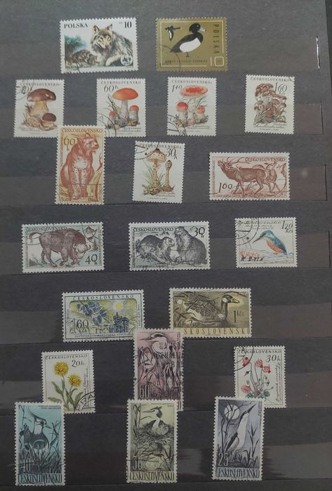 Timbre si colite straine fauna