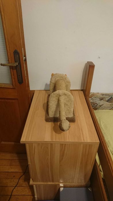 Ansamblu pentru pisici