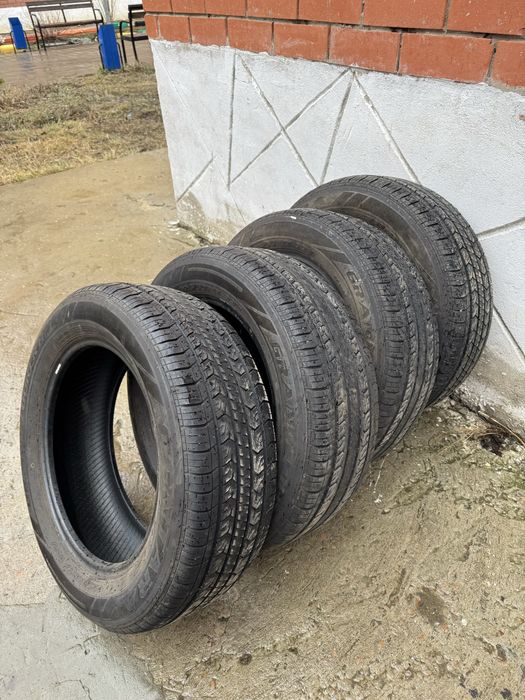 Шина ризина летняя