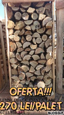 Combustibil solid , Lemne de foc si brichete de rumegus