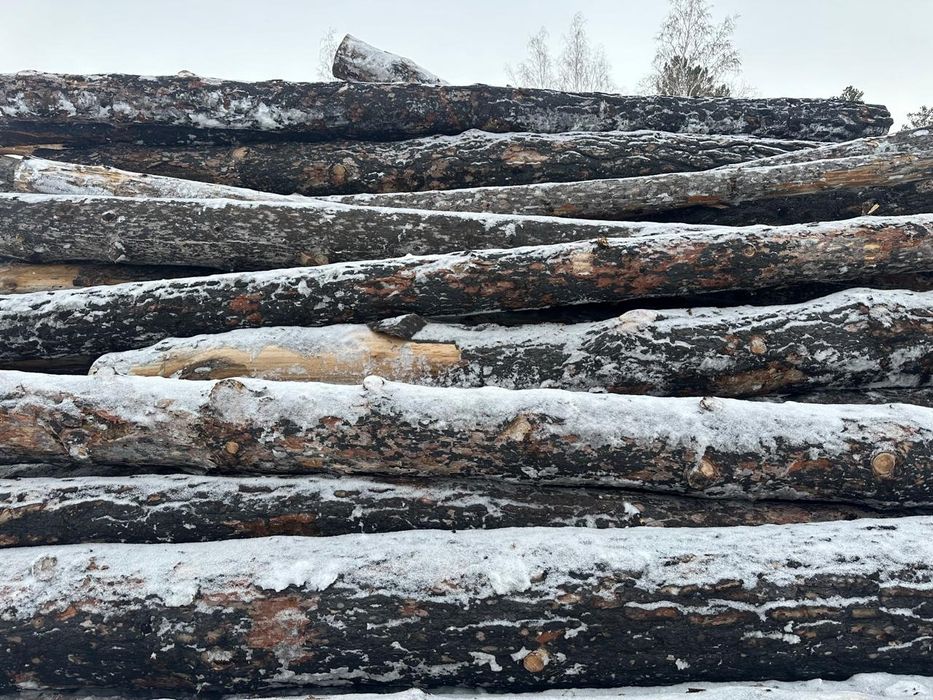 Продам лес сосна, кругляк