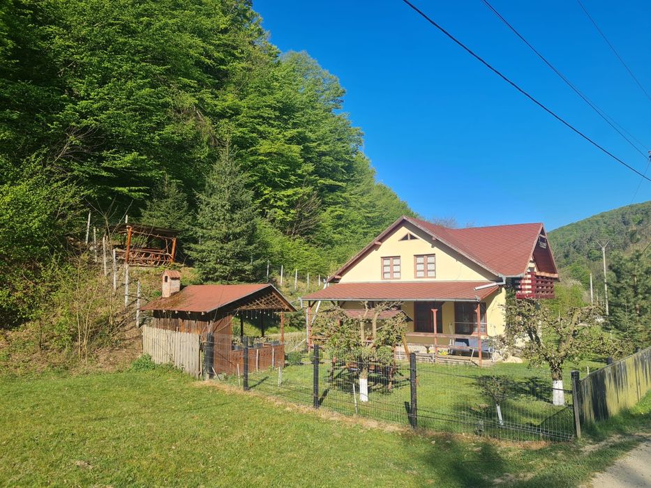 Casa de vacanta Strungari