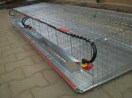 Cusca creștere prepelite ouatoare complet dotata