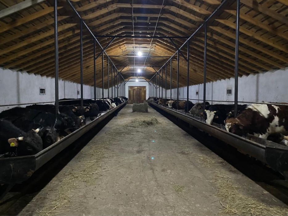 Продам Крестьянское хозяйство
