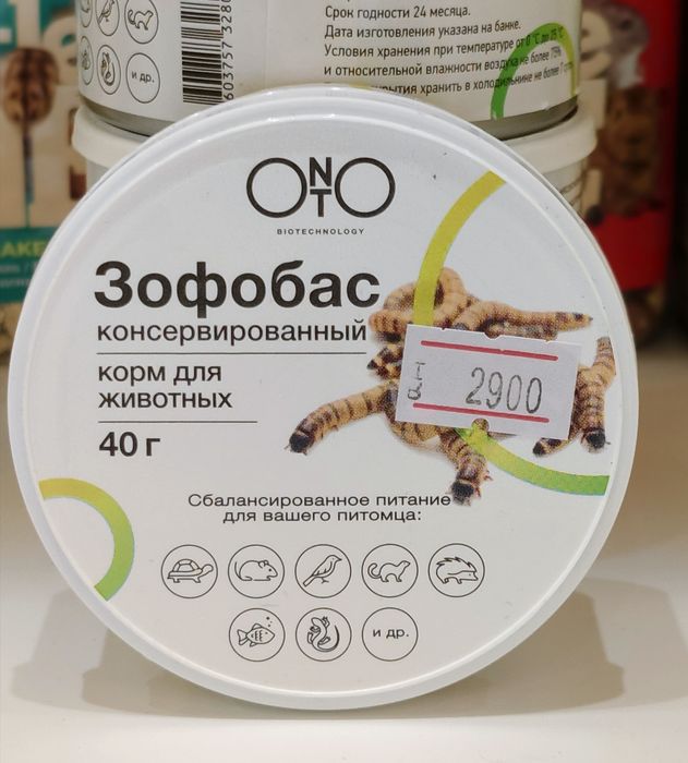 Консервированные насекомые,корм,мучной червь