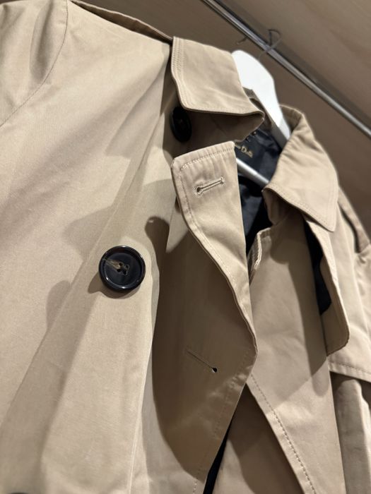Trench Massimo Dutti