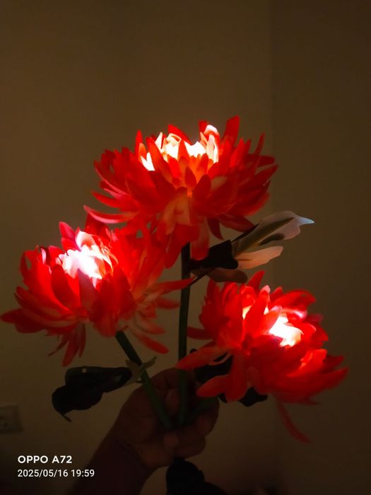 Садовые светильники