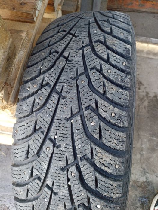 Maxxis ice Nord 5