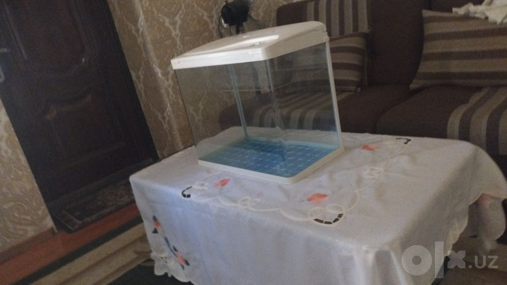 Продаю аквариум большой