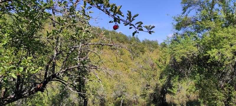 Продават се 3 земеделски имота (поземлени)