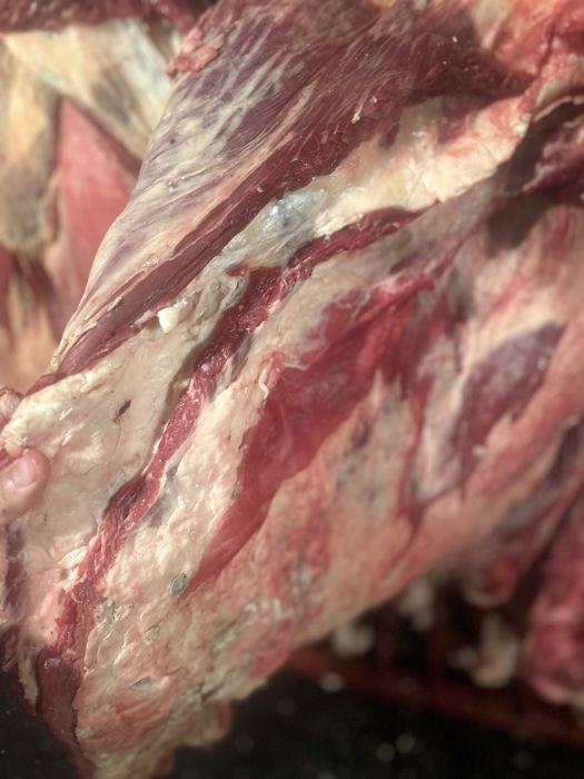 Жас тана етти тушалай