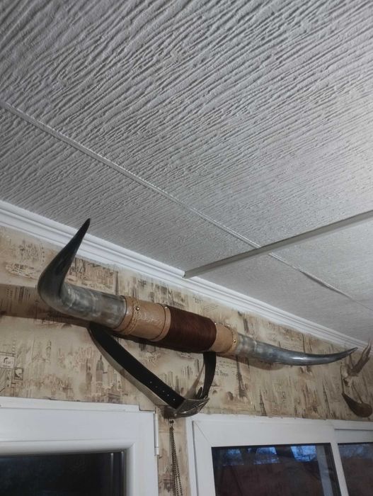 Coarne taur  decor de vânzare preț 150 lei