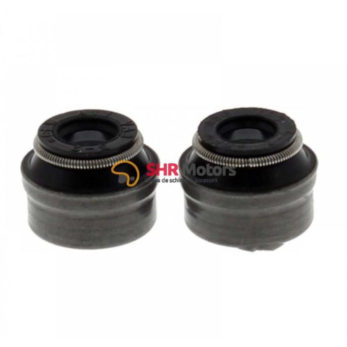 Bendix/Supape/Patine scuter Piaggio Fly