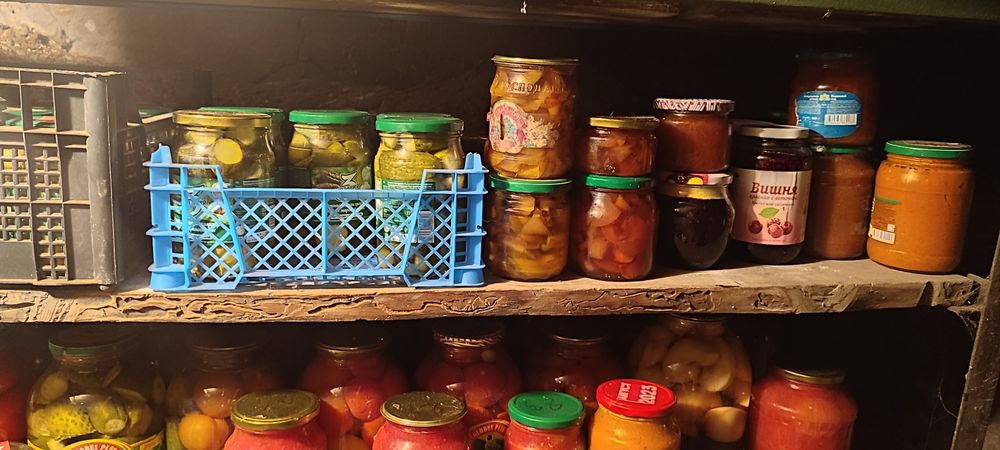 Соленья 2024 года